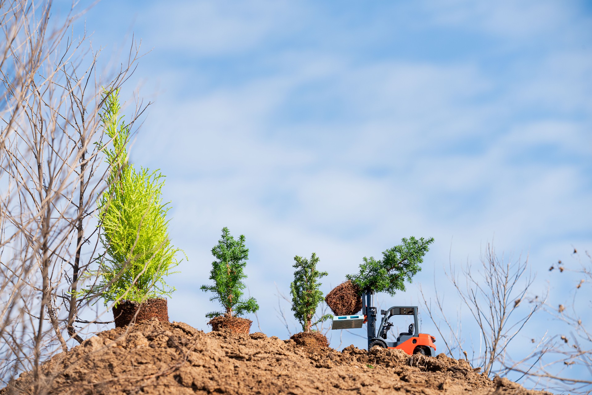 Mini toy excavator lifting small plants on a hill. Concept of miniature landscaping, reforestation, and environmental care. Creative scene with tiny trees and toy machinery against a blue sky